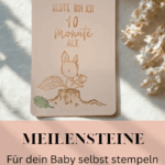 Meilensteinkarten- Die ersten Highlights des Babys festhalten! Meilensteine für Babys als Geschenk zur Geburt